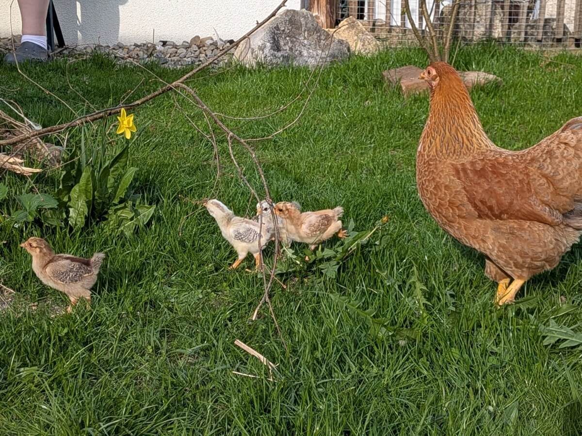 Du betrachtest gerade Erster Ausflug in die Freiheit: